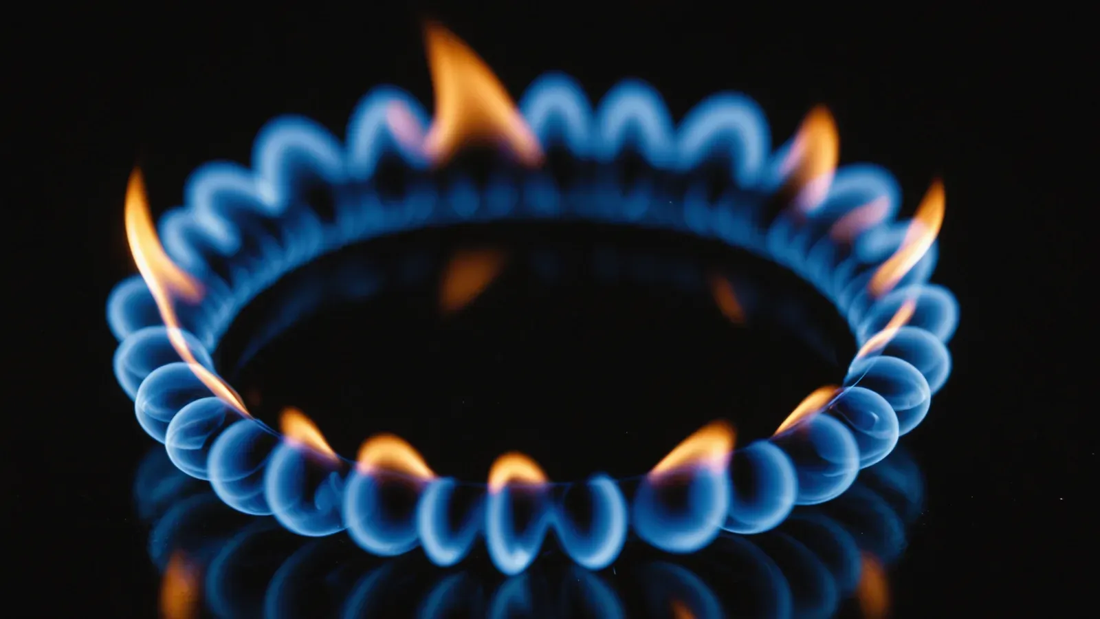 Couronne de petites flammes bleues de gaz en très gros plan, sur fond noir